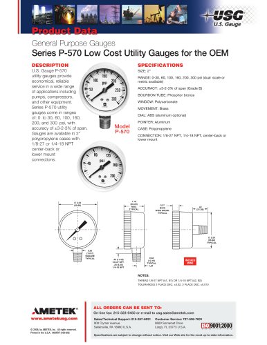 P-570系列低成本实用仪表OEM