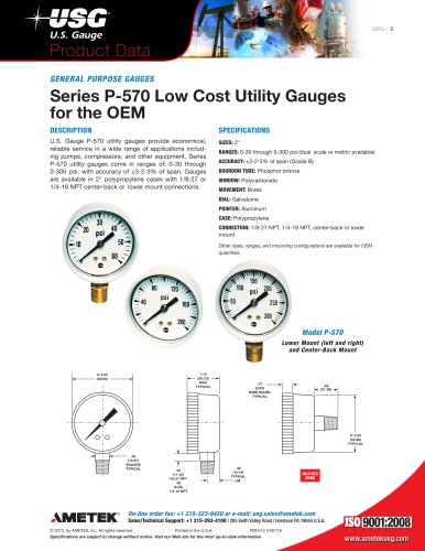 P-570系列低成本实用仪表，适用于OEM