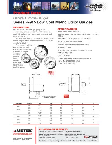 系列P-915低成本公制实用仪表