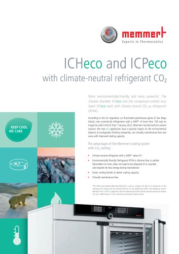 Flyer Icheco / ICPECO